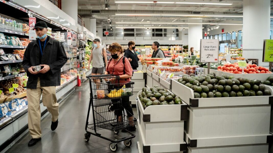 Shopping at NY Grocery Store