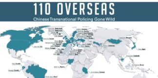 Overseas Chinese police “Service Stations”