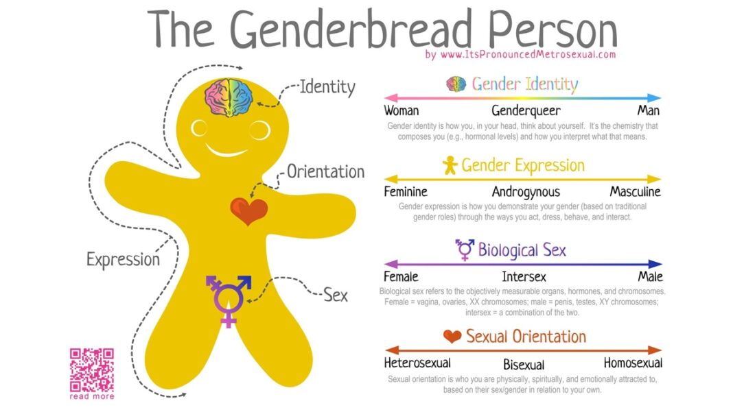 The Genderbread Person