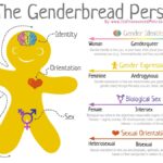 The Genderbread Person