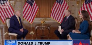 Donald Trump interview on Just The News No Noise
