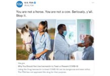 You are not a horse FDA tweet against ivermectin.