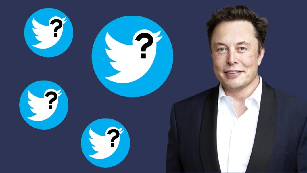 Questioning Twitter's Elon Musk