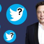 Questioning Twitter's Elon Musk