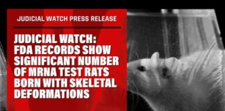 FDA Records Show Significant Number of mRNA Test Rats Born with Skeletal Deformations