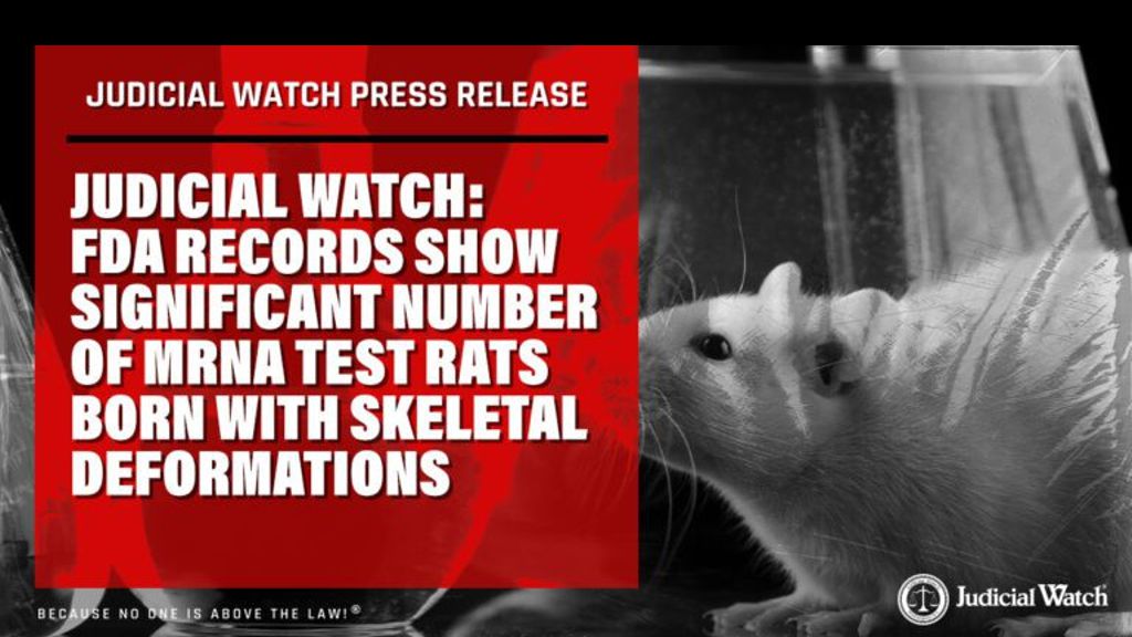 FDA Records Show Significant Number of mRNA Test Rats Born with Skeletal Deformations