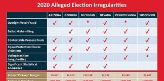 2020 Alleged Election Irregularities