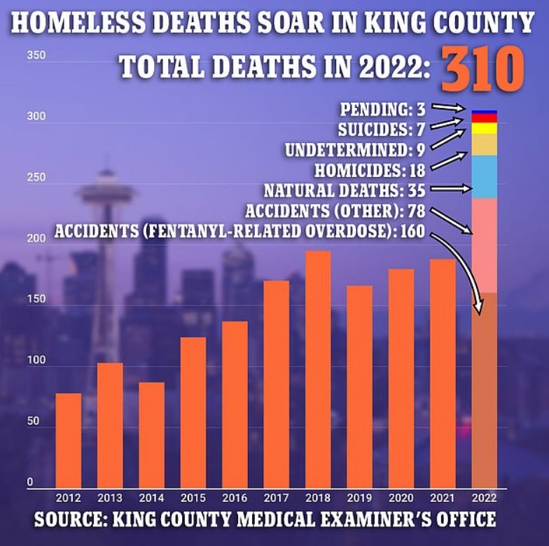 Homeless Deaths Soar in King County