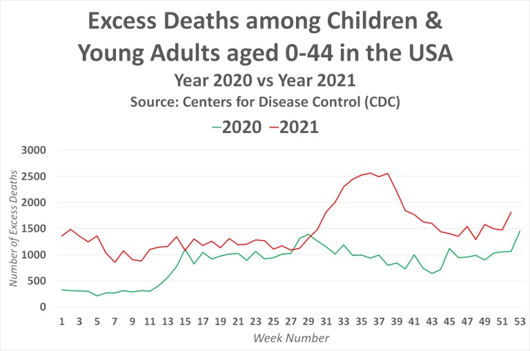 Excess Deaths Among Children & Young Adults aged 0-44 in the USA