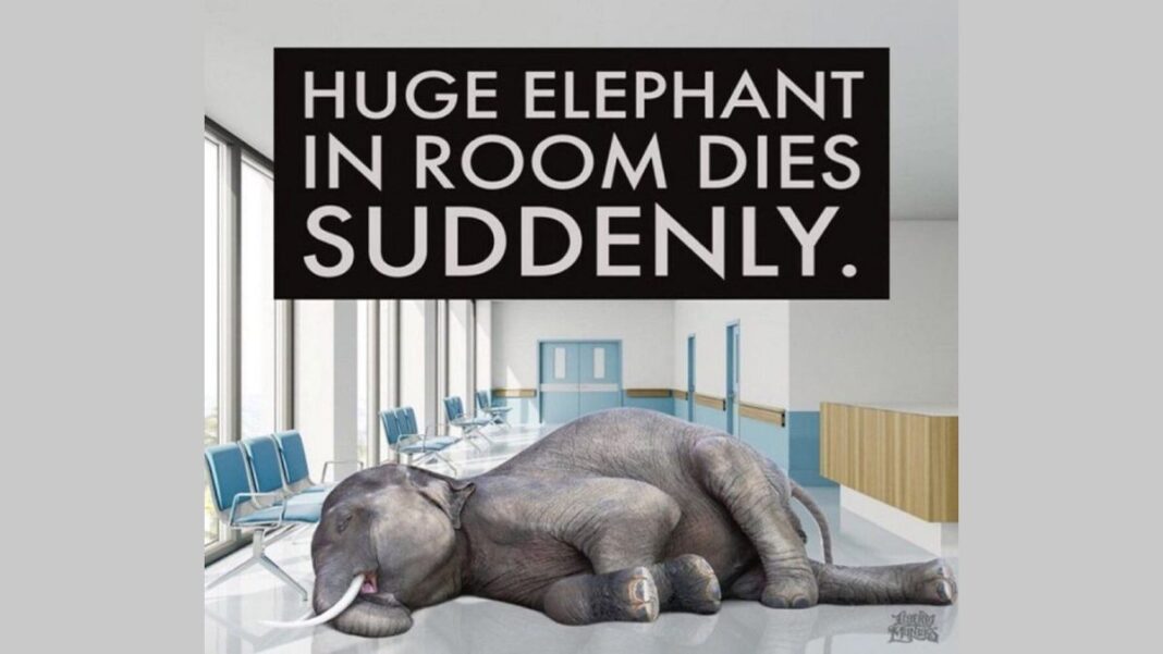 Huge elephant in the room dies suddenly.