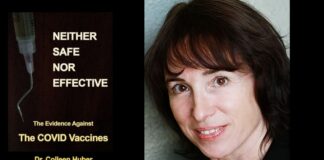 Neither Safe Nor Effective By Colleen Huber