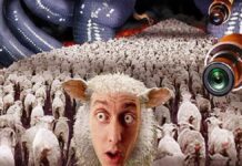 Sheeple