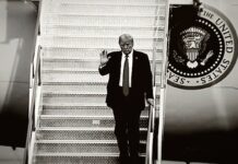President Donald Trump