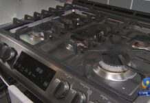 Gas Stove