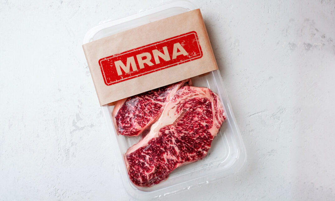 MRNA Meat Product