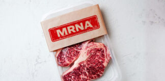 MRNA Meat Product