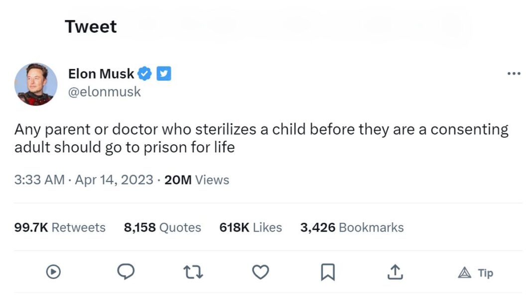 Elon Musk Speaks Out Against Child Sex Changes