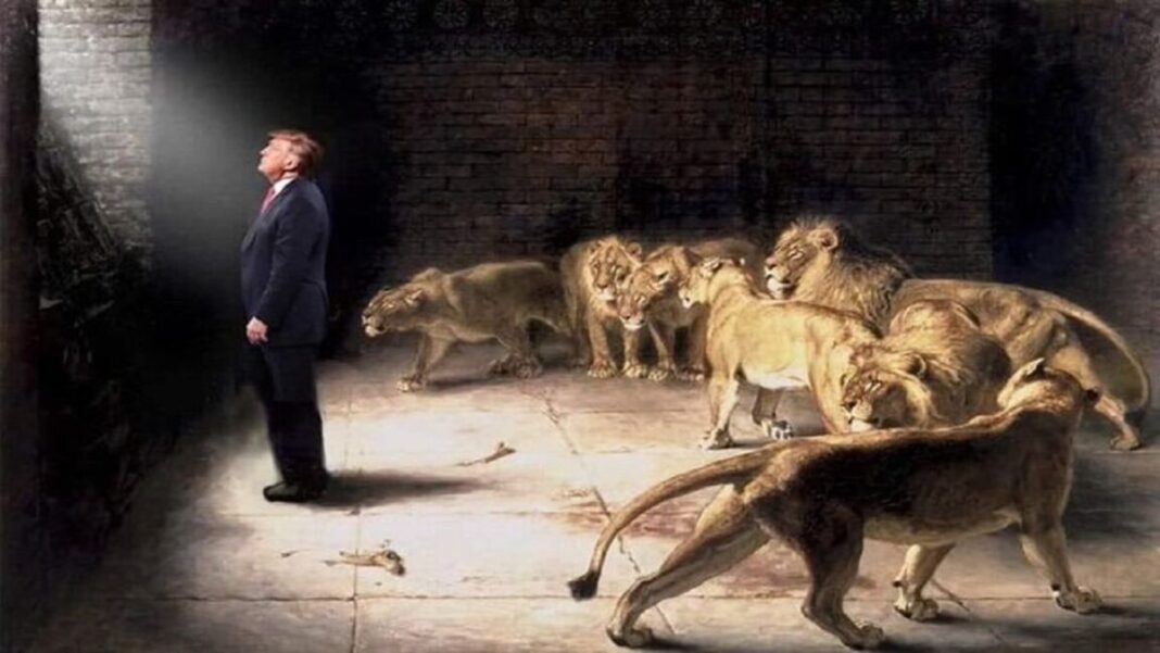 President Donald J Trump in the lions den
