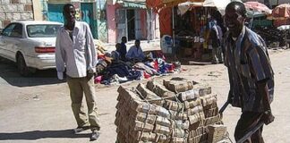 Wheel barrow of money in Zimbabwe