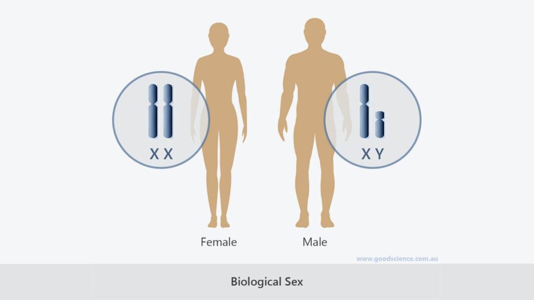 Biological Sex