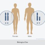 Biological Sex