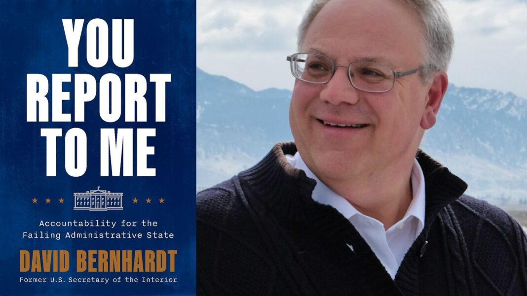 You Report to Me: Accountability for the Failing Administrative State By David Bernhardt
