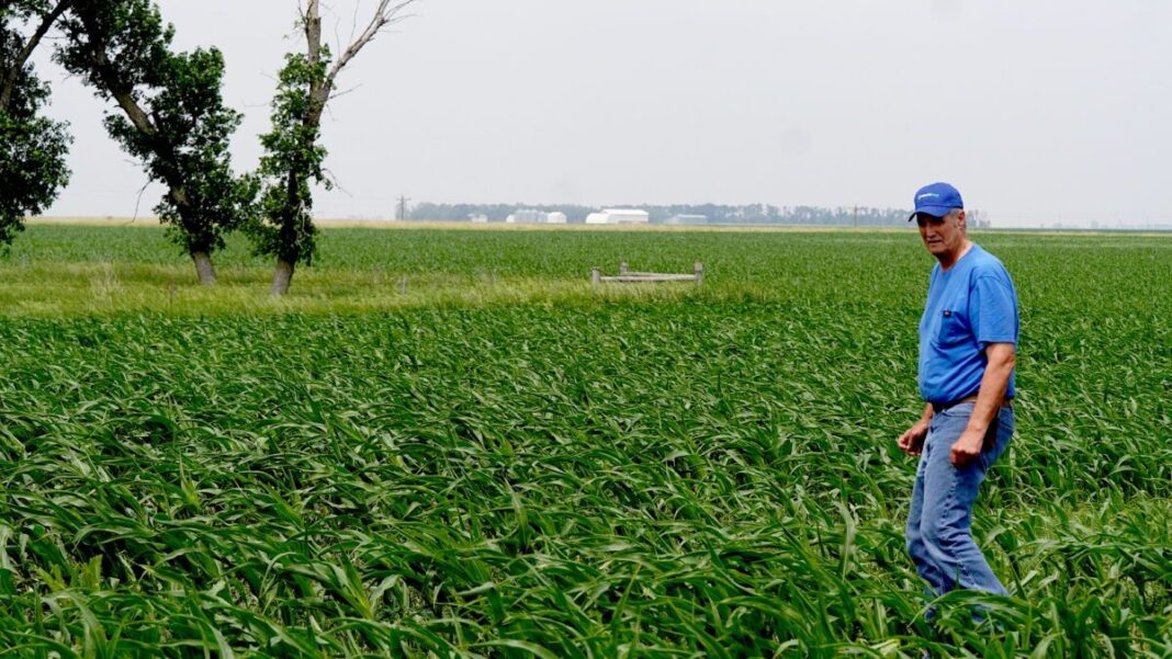 Fourth-generation South Dakota Farmer Ed Fischbach