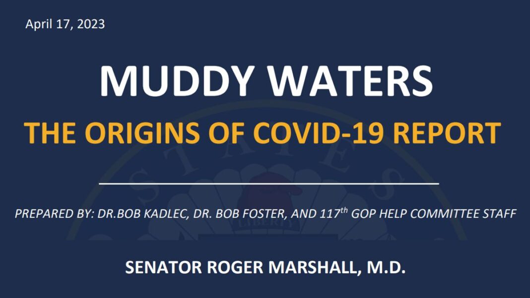 Muddy Waters: The Origins of COVID-19 Report