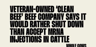 Veteran-Owned ‘Clean Beef’ Beef Company