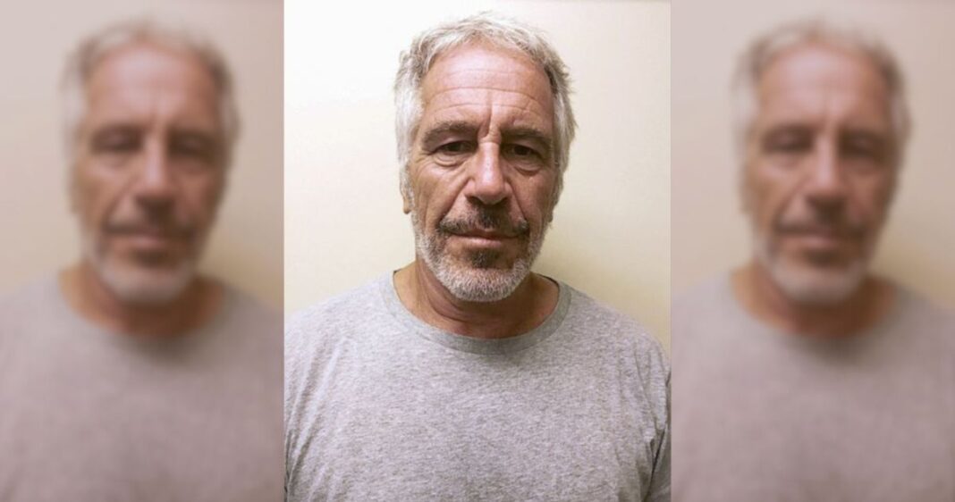 Jeffrey Epstein Mug Shot 2017