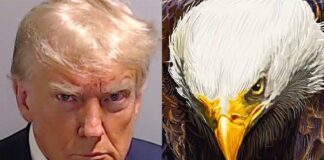 Trump The Eagle Mugshot