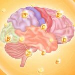 Micronutrients and the Brain