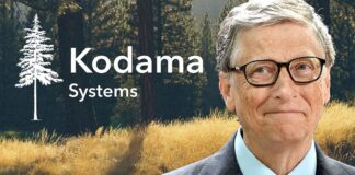 Bill Gates and Kodama Systems