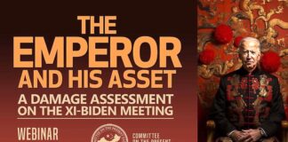 The Emperor and His Asset: A Damage Assessment on the Xi-Biden Meeting