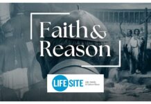 LifeSite News: Faith & Reason