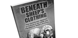 Beneath Sheep's Clothing By Julie Behling
