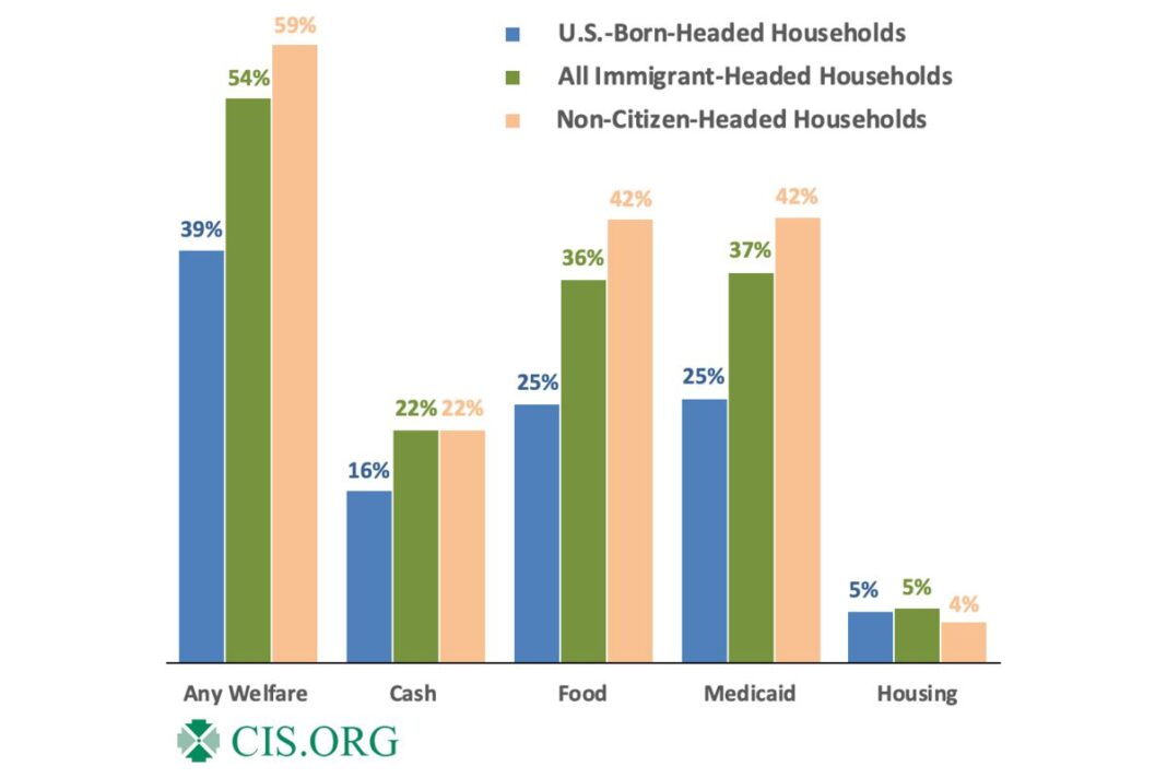 Welfare Use by Nativity