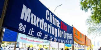 China: Stop Murdering for Organs