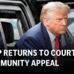 Trump Immunity Appeal Hearing