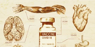 A Host of Notable COVID-19 Vaccine Adverse Events, Backed by Evidence