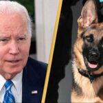 Joe Biden and his dog Commander