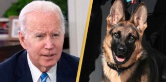 Joe Biden and his dog Commander