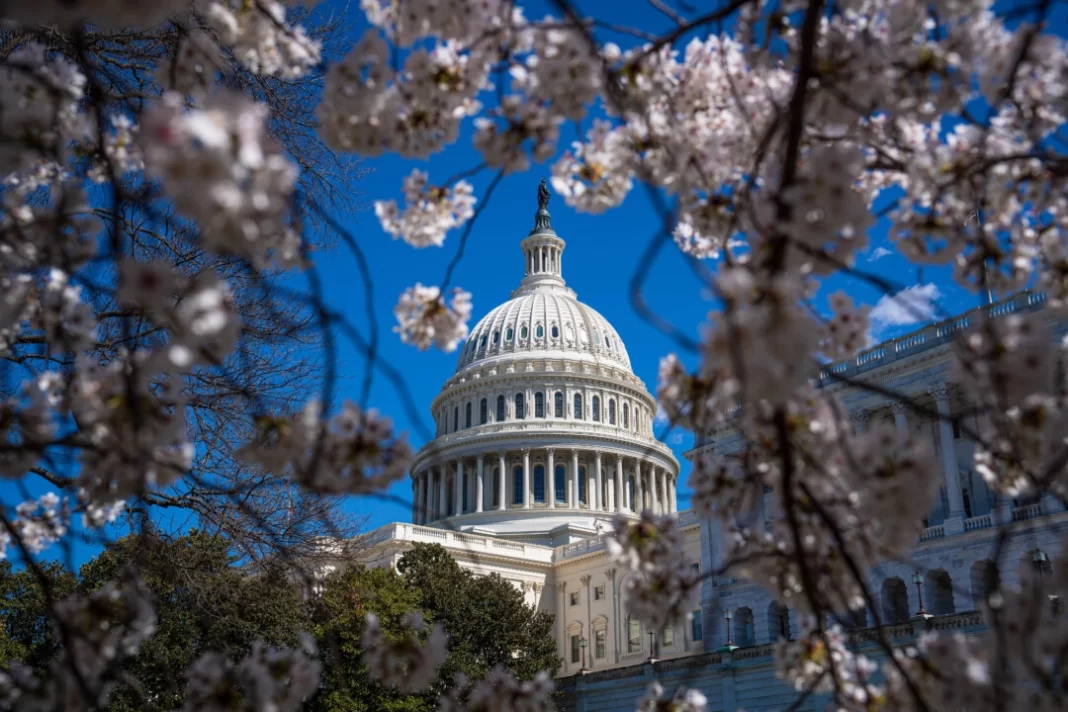 The U.S. Capitol building during cherry blossom season in Washington on March 20, 2024.