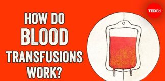 How do blood transfusions work? - Bill Schutt