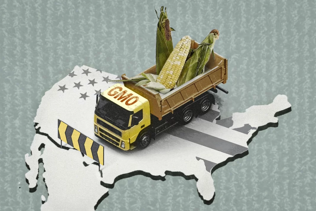 The US-Mexico Dispute Over GM Corn Safety Could Transform American Agriculture