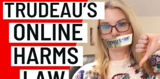 Trudeau's new online censorship law - Problems with Bill C-63 / the Online Arms Law