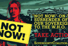 “Not Now” on the Surrender of Our Sovereignty to the WHO