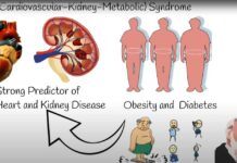 CKM syndrome, Cardiovascular-Kidney-Metabolic syndrome: symptoms, risks and treatment