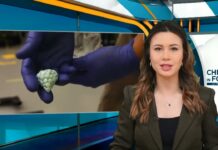 China’s Expanding Illicit Drug Networks Raise Challenges for US Policy China Subsidizes Fentanyl Exports