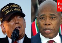 NYC Mayor Says He’s Ready to Share Ideas With Trump on Illegal Immigration Mayor Eric Adams Pressed On How New York City Will Work With A Trump Admin On Migrant Strategy